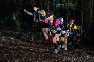 BIB: 
                            <button type="button" onclick="openModal(19041210)" class="btn btn-primary btn-sm float-right btn-popup" data-toggle="modal" data-target=".modal-high-quality">
                        <i class="fas fa-shopping-cart"></i> Add to Cart
                    </button>
                                            <button type="button" onclick="isThisMe(19041210, true)" class="btn btn-success btn-sm float-right btn-popup btn-isme hidden" data-toggle="tooltip" data-placement="bottom" title="นี่คือรูปของคุณใช่ไหม คลิกที่นี่เพื่อเอาเข้าอัลบั้ม">
                        <i class="fas fa-plus"></i> Add to album
                    </button>
                    <button type="button" onclick="isThisMe(19041210, false)" class="btn btn-warning btn-sm float-right btn-popup btn-isnotme hidden">
                        <i class="fas fa-ban"></i> Remove from album
                    </button>